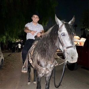 Meet your Posher, Gustavo